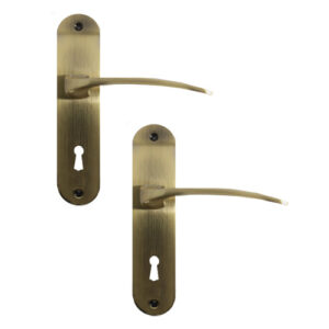 Internal Curved Door Handles Lever on Backplate Lock Antique Finish