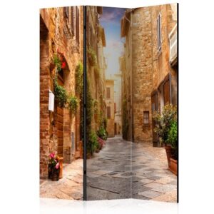 Room Divider - Colourful Street in Tuscany [Room Dividers]