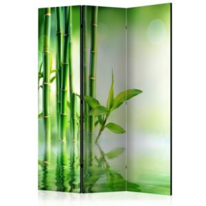 Room Divider - Green Bamboo [Room Dividers]